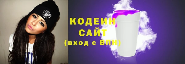 ПСИЛОЦИБИНОВЫЕ ГРИБЫ Богданович